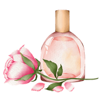 عطور
