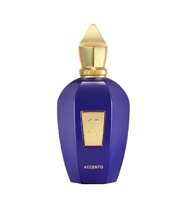 Xerjoff Accento - عطر للجنسين - EDP - 100 مل